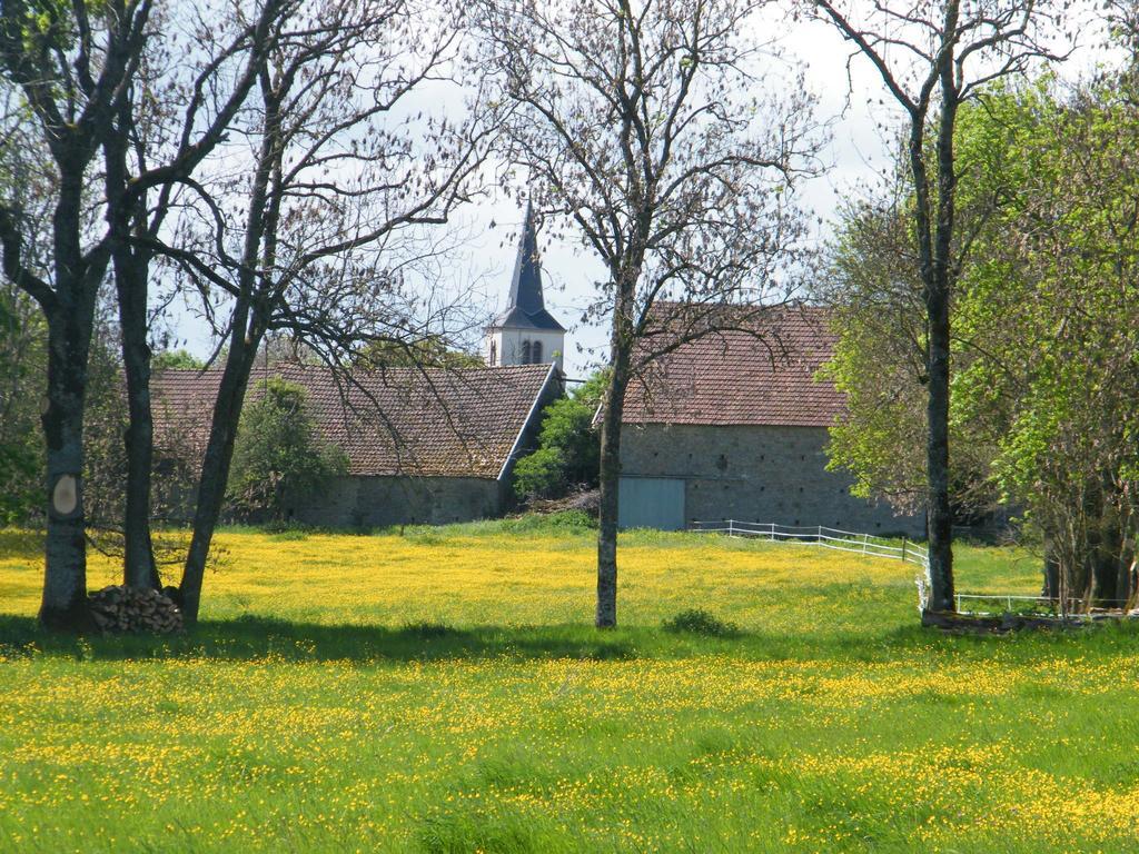 Datcha Bourguignonne, Chambres & Gite Maconge Exteriér fotografie